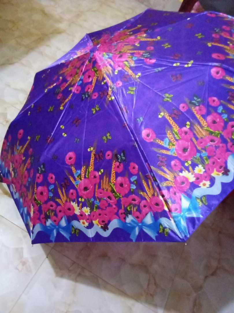 ফিলিপস,ছাতা-2