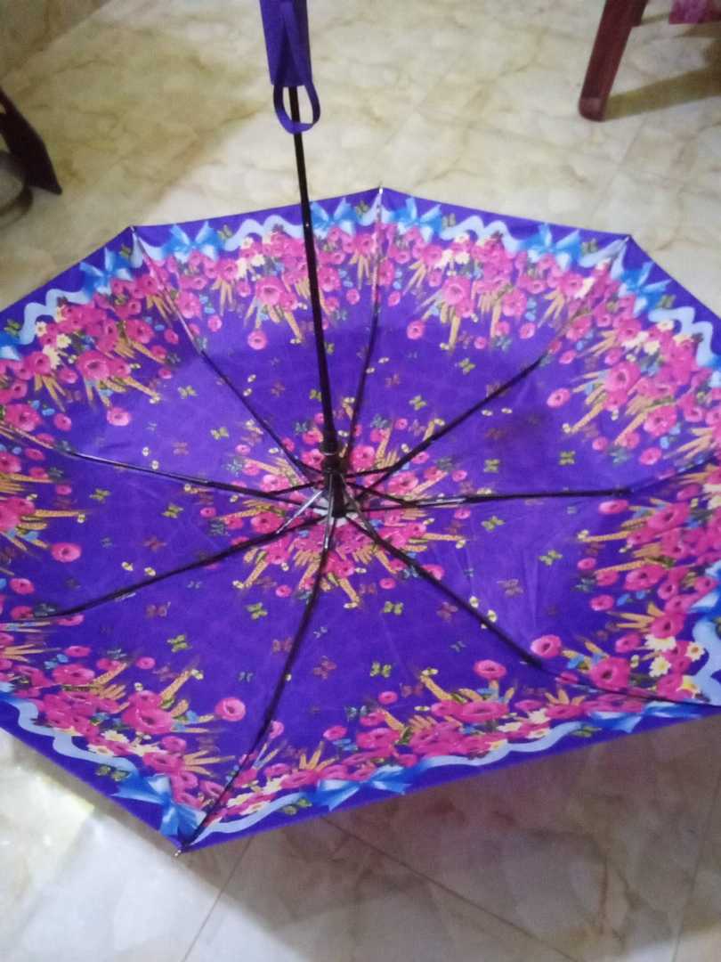 ফিলিপস,ছাতা-2