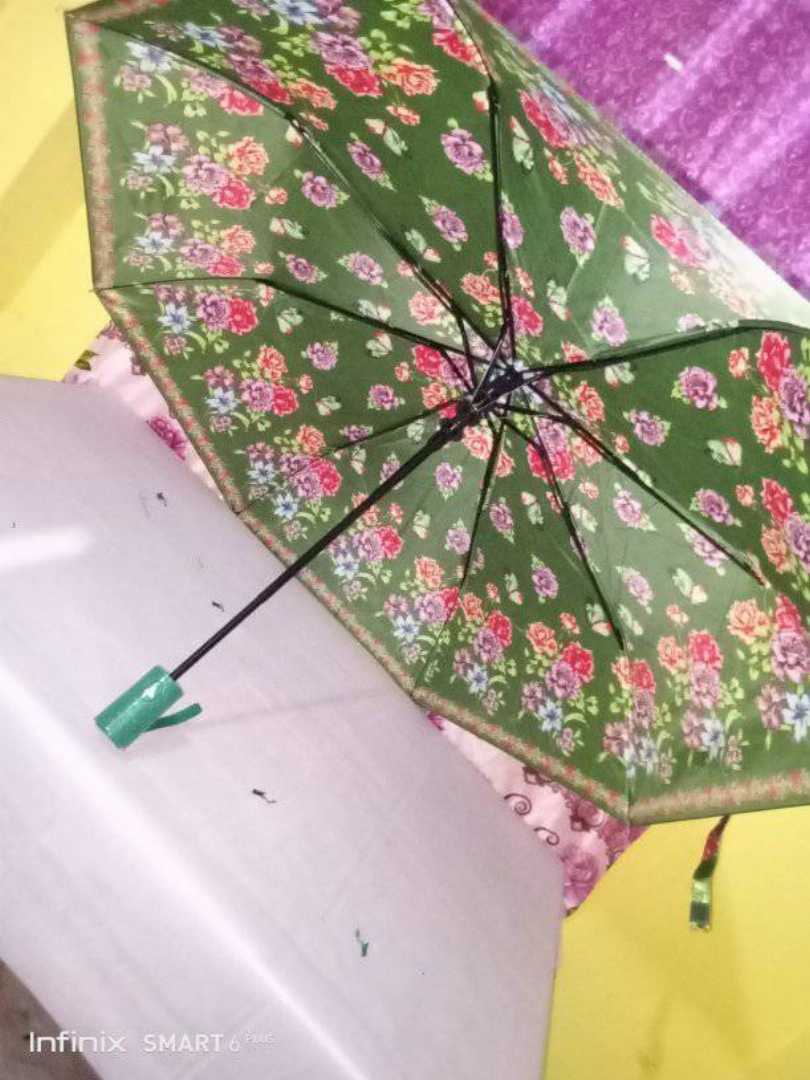 ফিলিপস,ছাতা-3