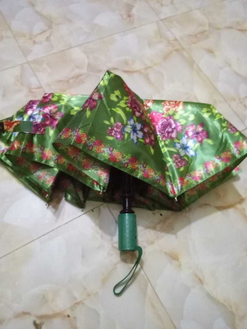 ফিলিপস,ছাতা-3